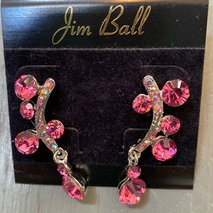 Earrings!  Never worn before - perfect for holiday parties, dances etc